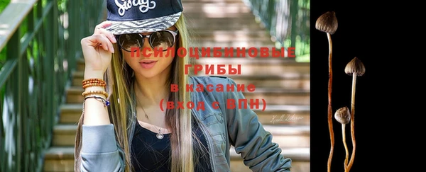 прущая мука Алзамай