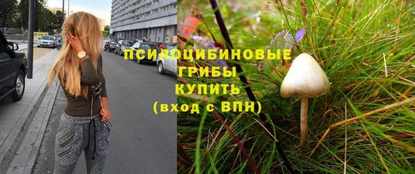 мет Алексеевка